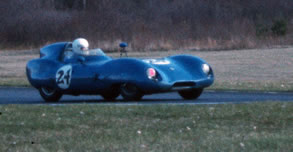Lotus